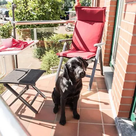 Apartment Rosenblick