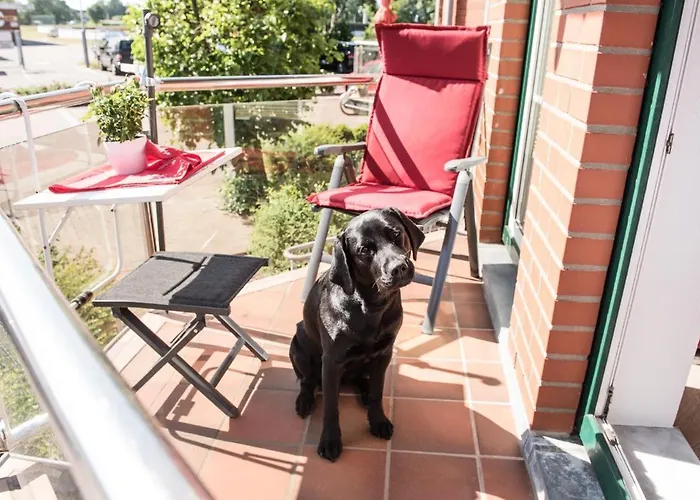 アパート Rosenblick